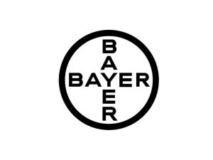 bayer caso
